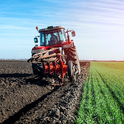 Agriculture & Biotechnology