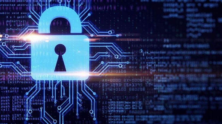 B.C.A. (Cyber Security & Data Science)